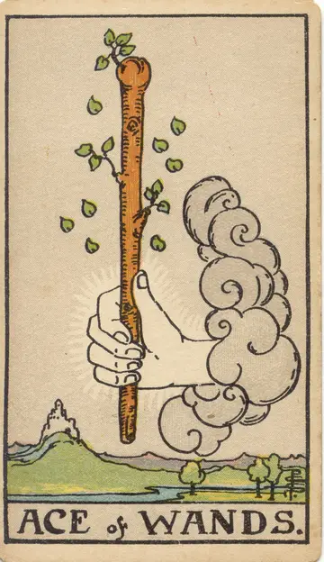Lá Ace of Wands (Át Gậy)